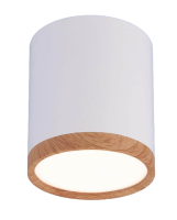 Svetilnik potolochnyj Elektrostandard 6W 4200K belyj matovyj  dub