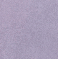 Oboi 1,06h10m Elysium Е802404 1