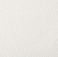 Oboi pod pokrasku HomeColor