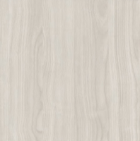 Plenka samokleyushchayasya Ryzhij kot