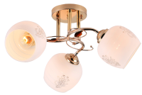 Lyustra potolochnaya