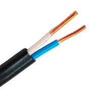 Kabel VVG-Png(A) 2h1,5 -0,66 GOST 1m