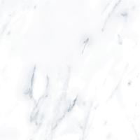 0d80fbdde8dcabc3fb5f8863b3c1b320