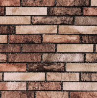 Plenka samokleyashchayasya Ryzhij kot 227304