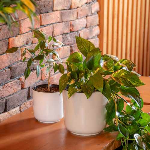 Gorshok dlya cvetov 3