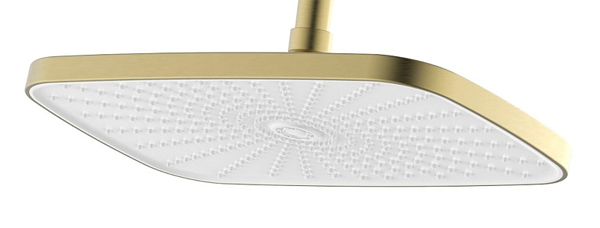 Azario 5