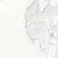 c2b67a07-3729-11e8-9cf9-005056914116