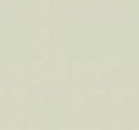 TrendColor Leopards Top Velvet 1