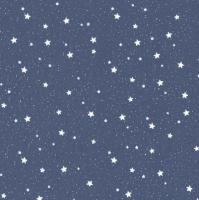 Oboi vinilovye 1,06x10m HomeColor 1