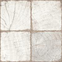 GP6RIT01_a17d0e35cd3ec472b24918f21654ad6e