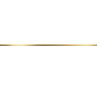 Bordyur Delacora Metallic Gold 1