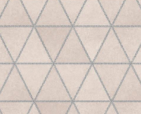 Plenka samokleyushchayasya Ryzhij kot