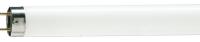 Lampa lyuminescentnaya Philips 18Vt G13 6500K