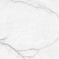Torso bianco