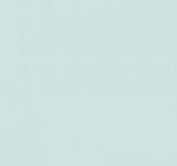 Leopards Top Velvet 1