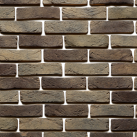 Ekaterininskij kirpich zolotistyj 1