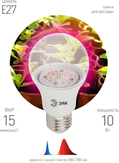 Lampa Era E27 FITO-10W-RB-E27-K 2