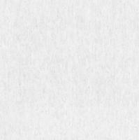 Oboi flizelinovye 1,06x10m Palitra PL72023-41