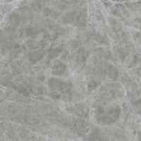 calacatta Gris