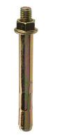 Ankernyj bolt s gajkoj HNM M 12x120