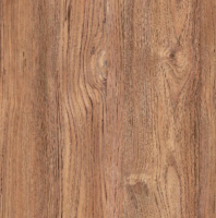 Plenka samokleyashchayasya Ryzhij kot 227301