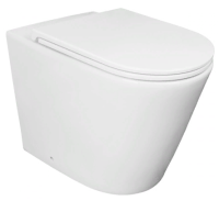 Unitaz pristavnoj s mikroliftom 1