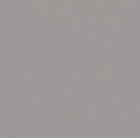 Oboi flizelinovye HomeColor 1,06x10m HC71823-45 1