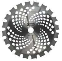 Disk