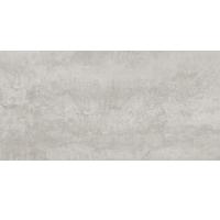 Infinium 1