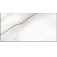 Delacora Calacatta Andrea 1