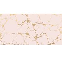 Dekor New Trend Golden Tint DW9GTI02 24,9h50 1