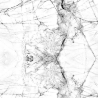 Plenka samokleyashchayasya Ryzhij kot