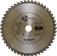 Disk_pilniy_255X48T