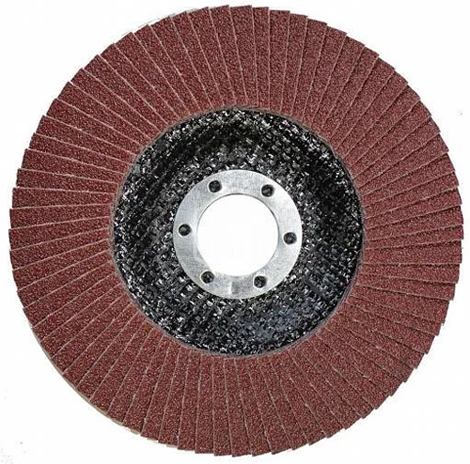 disk lepestkovyj 2