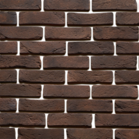 Interkam 1