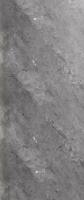 Panel 1