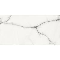 Керамогранит Azario Onyx Grey Glossy 60х120