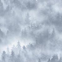 Обои Home Color My Forest HC71960-46 1,06x10м 1