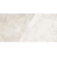 Palomino 1 Palomino 1