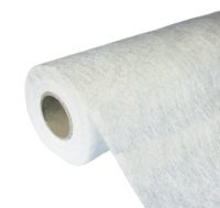 Stekloholst X-Glass 40gkv.m 50kv.m belyj 1