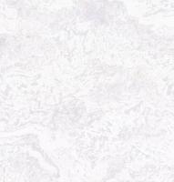 Oboi MEDINA PL72160-46 Palitra 10 VV GT FO 1