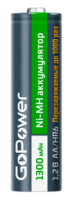 GoPower