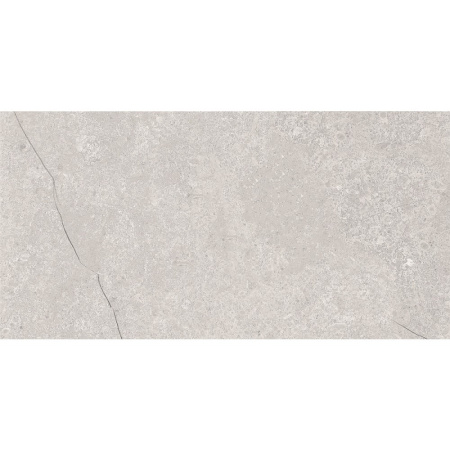 Fossil Grey
