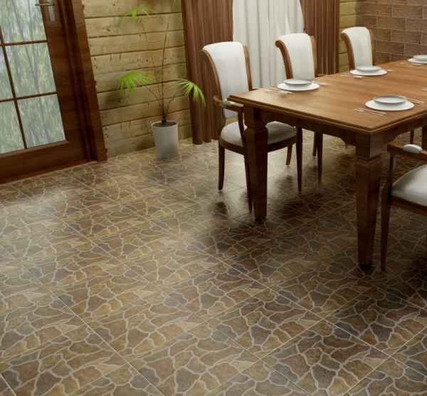 sokol-skify-korichnevaja 2