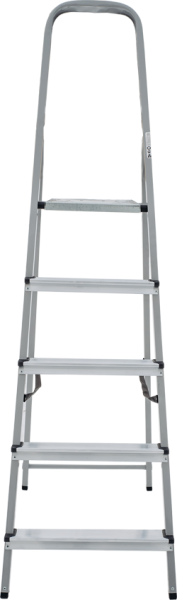 Stremyanka stalnaya 2