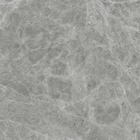 calacatta Gris