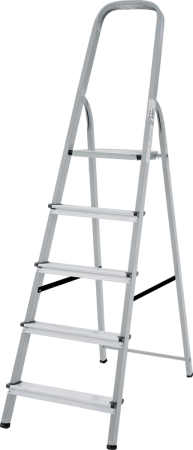 Stremyanka stalnaya 1