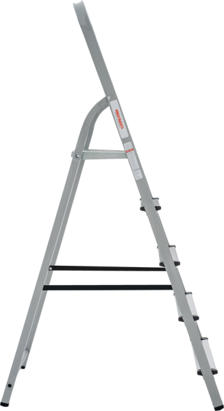 Stremyanka stalnaya 3