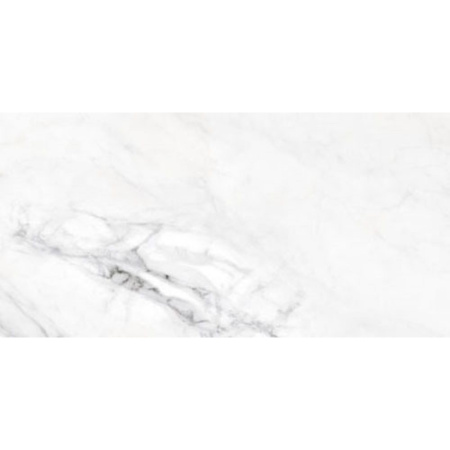 real-40x80-2