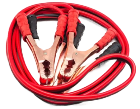 Provoda-fotor-bg-remover-2024032615440